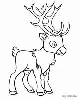Reindeer Rentier Ausmalbilder Malvorlage Cool2bkids Malvorlagen Printable sketch template