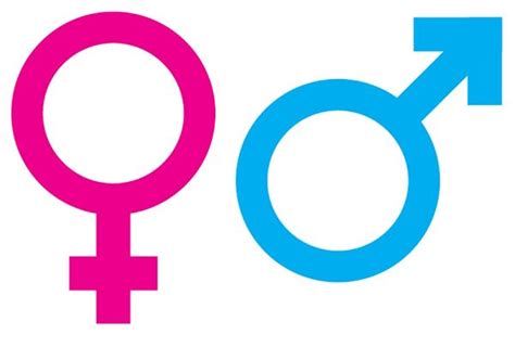gender fluid skronk and fuhgeddaboudit enter oxford english dictionary