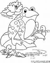 Tadpole Coloring Pages Kids Getcolorings Print Getdrawings Drawing Color sketch template