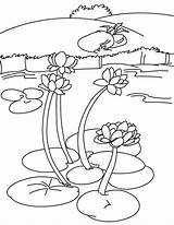 Coloring Lake Pages Lily Pad Books Color Getcolorings Printable sketch template