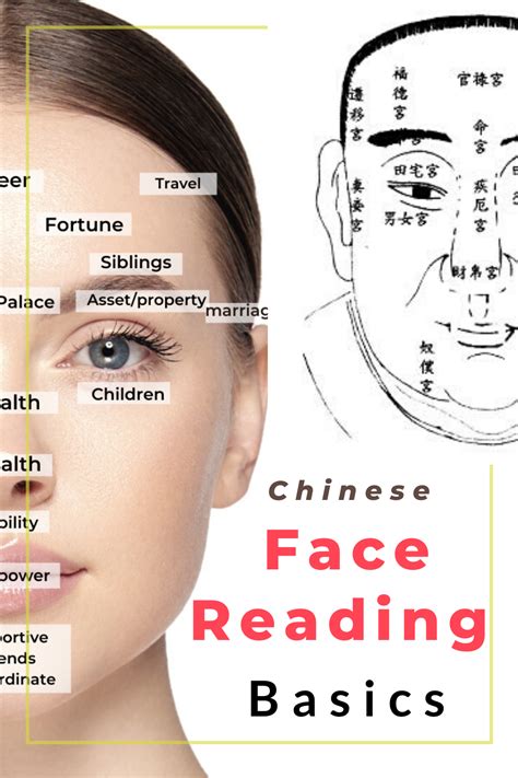 chinese face reading basics picture healer feng shui craft art chinese medicine