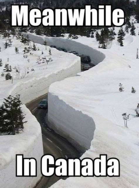 30 funny snow day memes barnorama