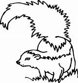 Skunk Coloring Enemy Cautious Drawing Line Color Getdrawings sketch template