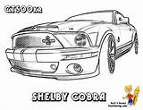 Mustang Coloring Shelby Pages Ford Gt Car Kids Boys Book 2008 sketch template