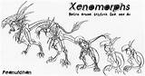 Xenomorph Xenomorphs Coloring Pages Deviantart Alien Queen Template sketch template