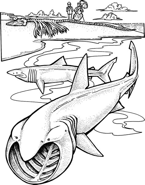 big shark coloring page coloring pages