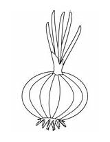Onion Coloring sketch template
