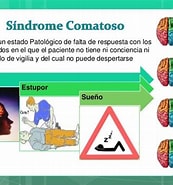Image result for comatoso. Size: 173 x 185. Source: es.slideshare.net