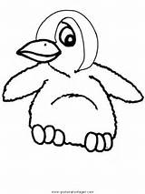 Pinguine Malvorlage Malvorlagen sketch template