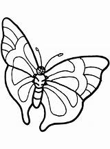 Vlinders Vlinder sketch template
