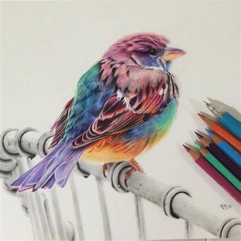 pin  lucie monty  dessin bird drawings color pencil art