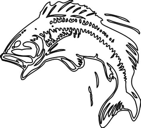 bass fish body print coloring pages  place  color