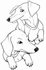 Dachshund Coloring Pages Printable Aphmau Aaron Drawing Stencil Puppy Dog Long Color Template Silhouette Getcolorings Getdrawings Haired Pencil Clube sketch template