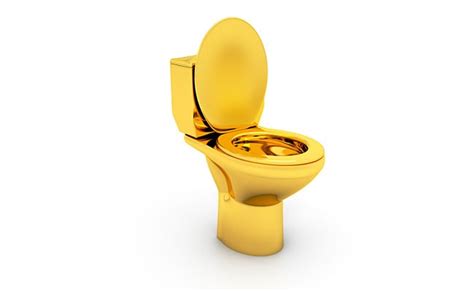 fully functional gold toilet   installed   museum