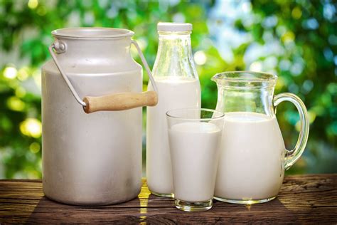 veel melk drinken  helemaal niet zo gezond gezondblog