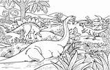 Dinosaur Coloring Pages Kids Jungle Dinosaurus Among Book Drawing Apatosaurus Other Colouring Dinosaurs Dino Color Adult Dinosauri Template Printable Choose sketch template