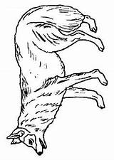 Loup Chien Colorier Hugolescargot Coloriages Louveteau Loups Hurle Nadja Bleu Modeste Buzz2000 Dodo sketch template