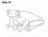 Frog Eyed sketch template
