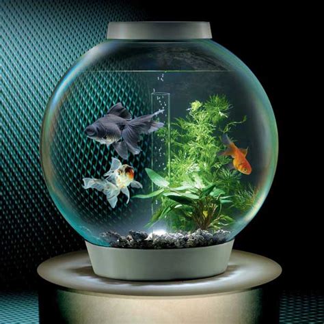 common sizes  fish tanks glass fish tanks