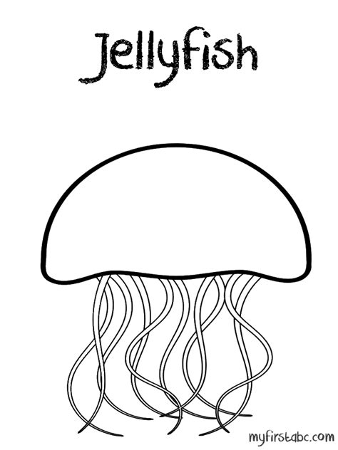 jellyfish  animals  printable coloring pages
