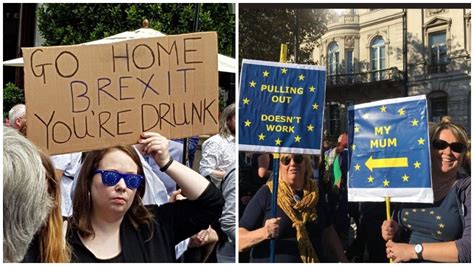 anti brexit signs  people attending  peoples vote march winkgo