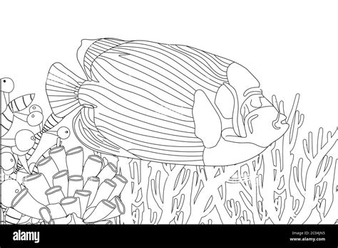 realistic ocean fish coloring pages