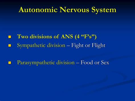 ppt chapter 13 nervous tissue powerpoint presentation