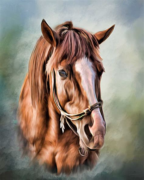 painting   horse head  paintingvalleycom explore collection