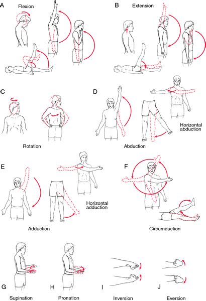 Aerobic Exercise Definition Of Aerobic Exercise By