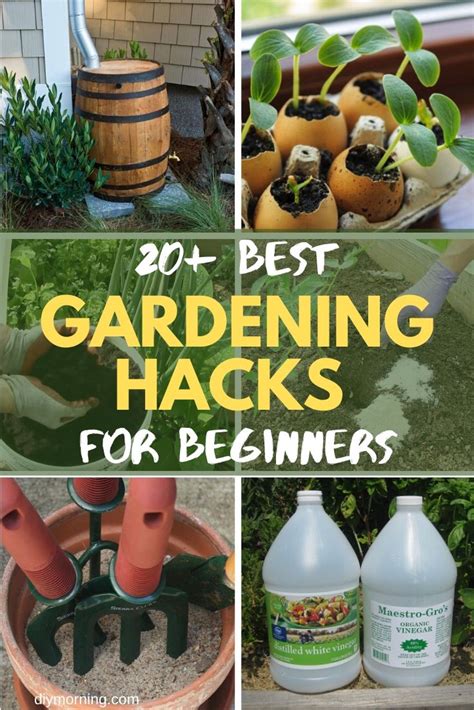 20 brilliant diy gardening hacks you wish you knew early on