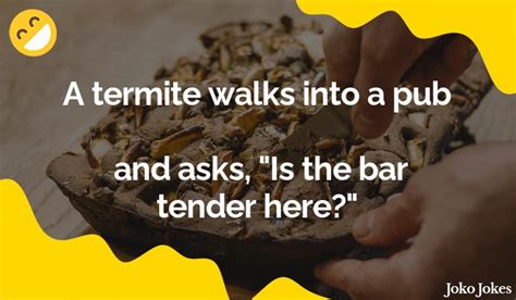 44 termite jokes and funny puns jokojokes