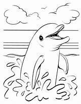 Dolfijn Dolphins Delfin Dolfijnen Delfini Colorare Topkleurplaat Dieren Printen Delfine Ausmalen Ausmalbilder Delfino Tekeningen Cries Bezoeken Kiezen Raskrasil sketch template