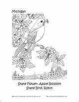 Michigan Coloring Flower State Pages Bird Printables Learn Choose Board Homeschooling Activities Preschool sketch template