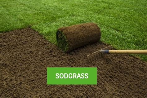 sod delivery greensboro high point winston southern sodgrass nc sod