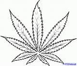 Weed Marijuana Outline Stoner Maconha Svg Library Drugs Folhas Marihuana Feuille Tatuaje Joint Sketches Meio Ligado Tatoo Dibujar Tatuagens Marihuanas sketch template