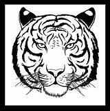 Tiger Face Drawing Simple Coloring Pages Pencil Outline Easy Draw Tigers Getdrawings Line Color Printable Getcolorings Colorings Print sketch template