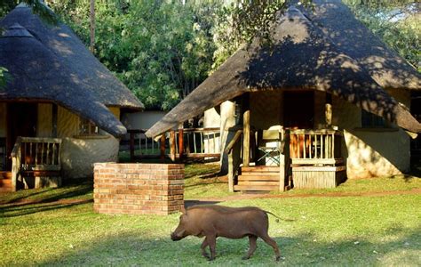 Chobe Safari Lodge Book Your Dream Self Catering Or Bed And Breakfast