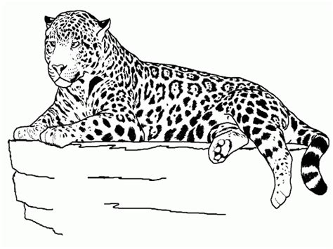 coloring pages jaguar coloring pages