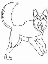 Husky Coloring Inuit Pages Dog People Playing Ws sketch template
