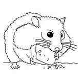 Hamster Coloring Pages Printable Color Print Colouring Hamsters Animals Cute Kids Pets Related Posts Printcolorcraft sketch template