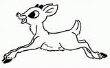 Rudolph Reindeer Nosed Rudolf Wilma Elf Coloringhome sketch template