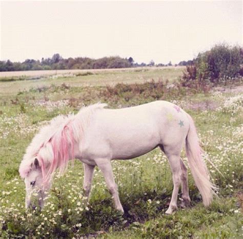 lovely pink pony