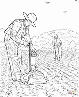 Coloring Farming Pages Drawing Printable sketch template