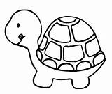 Tortugas Dibujos Tortuga Coloring Childrencoloring Animalitos sketch template