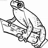 Frog Coloring Waiting Wecoloringpage sketch template
