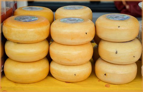 edam cheese   stock photo public domain pictures