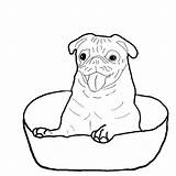 Pug Coloring Pages Pugs Printable Bowl Happy Dog Drawing Color Cute Inside Baby Template Getcolorings Print Puppies Getdrawings Dogs Outline sketch template