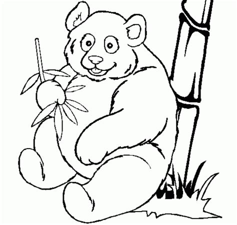 panda pictures printable coloring home