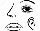 Eyes Ears Clipart Lips Nose Drawing Eye Template Clipartmag Clipground sketch template