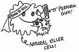 Macrophages Killer Natural Macrophage Drooling Doodling Scq Ubc Ca sketch template